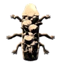 The dregmaw, as the game draws it: the black glass monster, seen from the front.